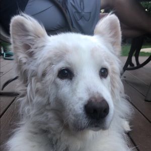 Meet your Posher, Haley